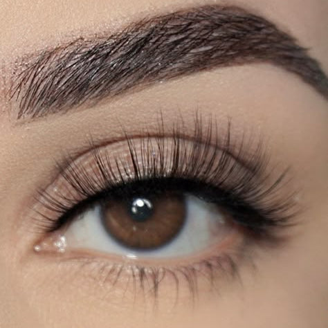 3D curl eyelashes, natural lashes annie shah