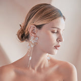 Amara Crystal Pearl Hair Comb & Earrings Set